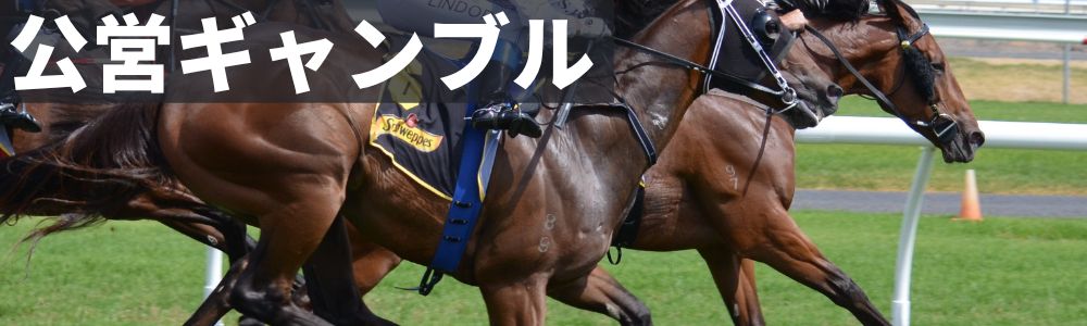 公営ギャンブル