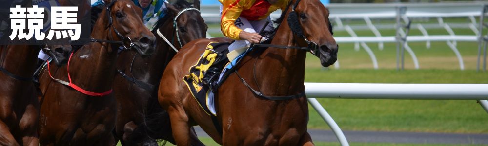 競馬