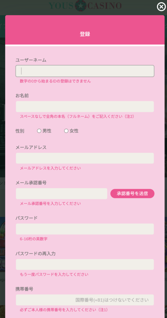 入力項目